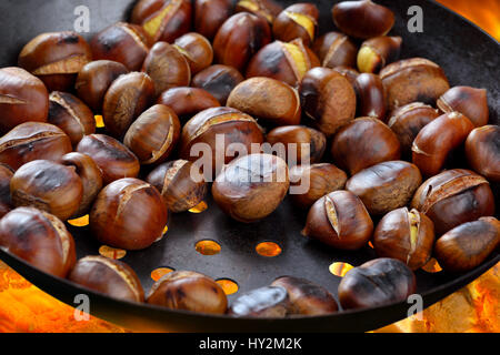 Roasting chestnuts in a special pan over an open fire Stock Photo