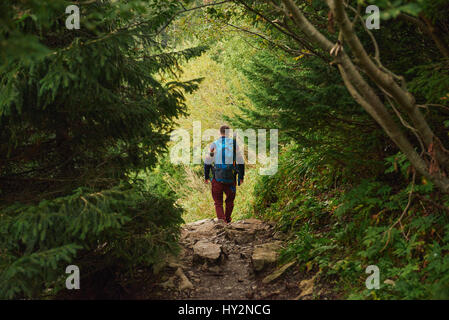 Lone hiker walking through a path deep in the forest Stock Photo
