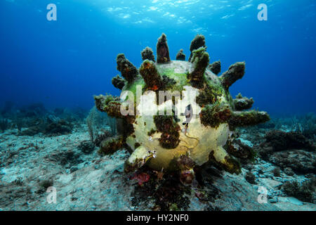 Underwater sculpture in the caribbean hi-res stock photography and images -  Alamy