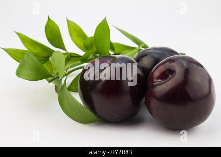 Fresh blue plums on white background Stock Photo