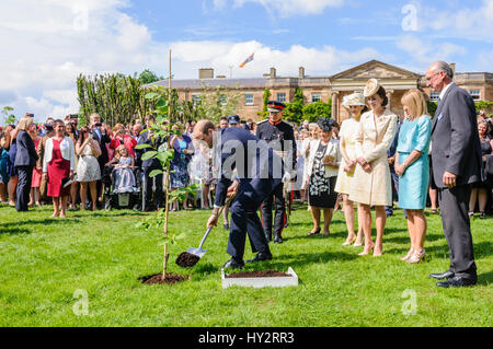 HILLSBOROUGH, NORTHERN IRELAND. 14 JUN 2016: Prince William, The Duke of Cambridge helps to plant a tree at the Secretary of State's annual garden party. Stock Photo