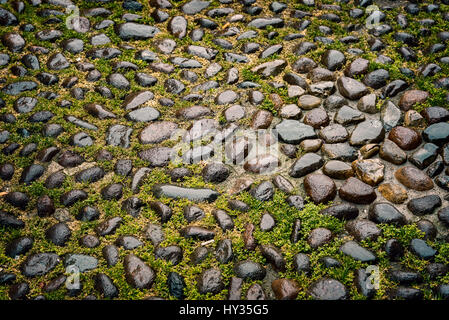 Image of cobblestone street with grass. Stock Photo