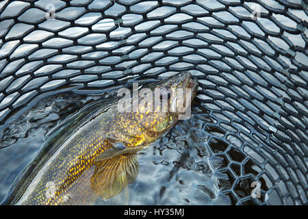 A close up shot of fish net material Stock Photo - Alamy
