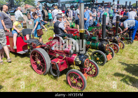 A collection of miniature traction engines on display in the show ring at the 2016 Norton Fitzwarren Steam & Vintage Vehicle Rally, Somerset Stock Photo