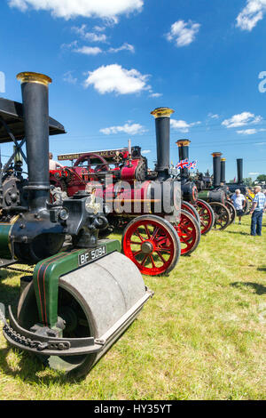 A huge display of vintage restored traction engines in the show ring at the 2016 Norton Fitzwarren Steam & Vintage Vehicle Rally, Somerset Stock Photo