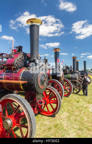 A huge display of vintage restored traction engines in the show ring at the 2016 Norton Fitzwarren Steam & Vintage Vehicle Rally, Somerset Stock Photo