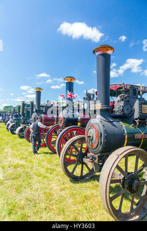 A huge display of vintage restored traction engines in the show ring at the 2016 Norton Fitzwarren Steam & Vintage Vehicle Rally, Somerset Stock Photo