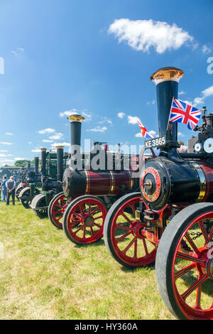 A huge display of vintage restored traction engines in the show ring at the 2016 Norton Fitzwarren Steam & Vintage Vehicle Rally, Somerset Stock Photo