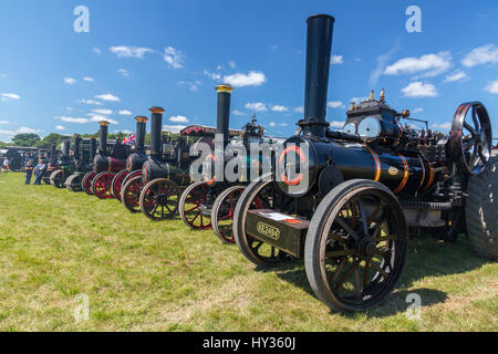 A huge display of vintage restored traction engines in the show ring at the 2016 Norton Fitzwarren Steam & Vintage Vehicle Rally, Somerset Stock Photo