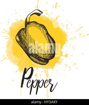Vector illustration of a pepper. Hand drawn Stock Vector