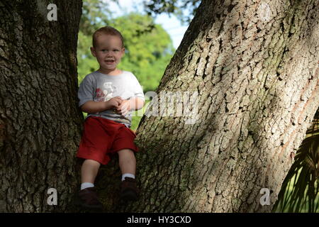 little boy in tree Stock Photo