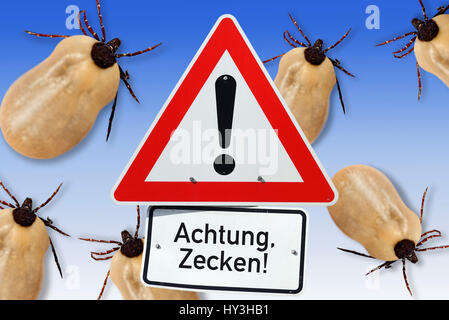 Attention, ticks, symbolic photo, Achtung, Zecken, Symbolfoto Stock Photo