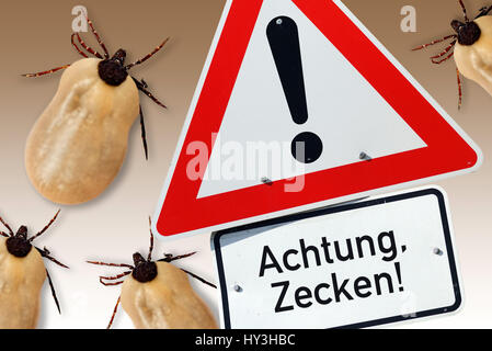 Attention, ticks, symbolic photo, Achtung, Zecken, Symbolfoto Stock Photo