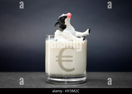 Miniature cow sinks into a milk glass, low milk prices, Miniaturkuh versinkt in einem Milchglas, niedrige Milchpreise Stock Photo