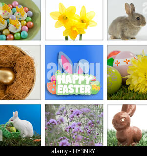 Happy Easter greeting against colorful chocolate easter eggs with cup cakes in bowl Stock Photo