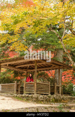 Woman tourist in red jacket stands in wooden rest hut and looks at camera in forest with autumn colour trees in Miyajima, Japan Stock Photo