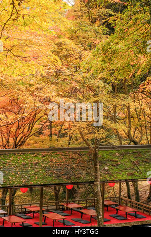 Traditional Japanese seating restaurant with red tables and black cushions in forest with autumn colour trees in Jingoji Temple in Kyoto, Japan Stock Photo