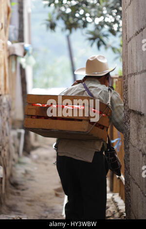 Mayan senior men is carrying fresh vegetables in a box on his back tied with a strong rope Stock Photo