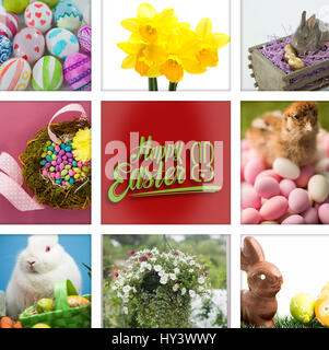 happy easter against painted easter eggs on white background Stock Photo