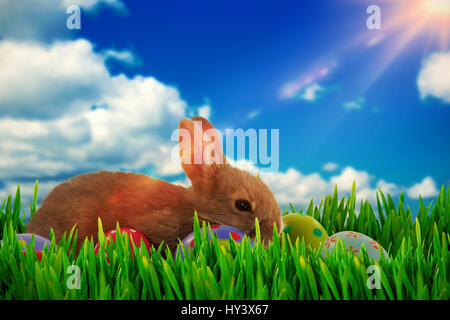 Grass growing outdoors against scenic view of blue sky Stock Photo