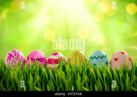 Grass growing outdoors against field against glowing lights Stock Photo