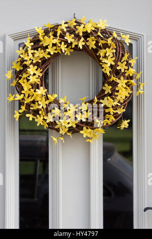 Spring plastic artificial daffodil flower wreath hanging on a door. Oxfordshire, England Stock Photo