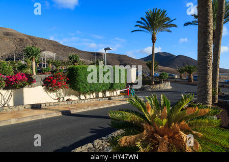 Street with tropical plants in Morro Jable seaside town, Fuerteventura, Canary Islands, Spain Stock Photo