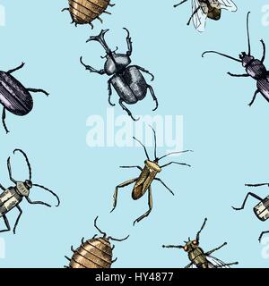 insect beetle seamless pattern, background with engraved animal hand drawn style rhino Stock Vector