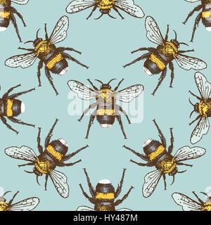 insect beetle seamless pattern, background with engraved animal hand drawn style bumblebee Stock Vector