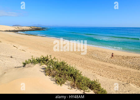 View of sand dunes and ocean in Corralejo National Park, Fuerteventura, Canary Islands, Spain Stock Photo