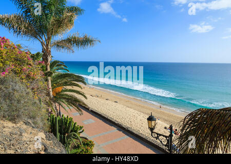 Promenade with tropical plants and flowers along a beach in Morro Jable holiday village, Fuerteventura, Canary Islands, Spain Stock Photo