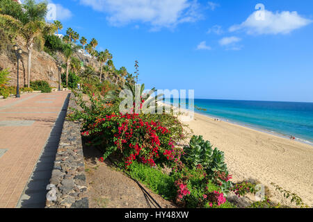 Coastal promenade along sandy beach in Morro Jable town, Fuerteventura, Canary Islands, Spain Stock Photo