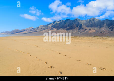 Footprints in sand on Cofete beach in secluded part of Fuerteventura, Canary Islands, Spain Stock Photo