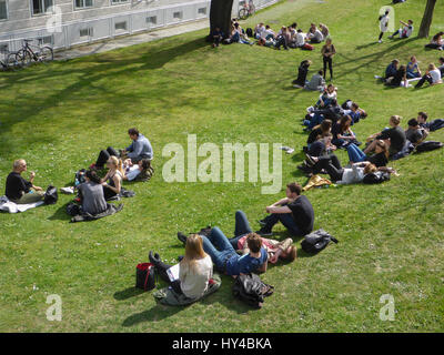 students sitting lying at meadow at Medizinische Universität  (Medical University), Wien, Vienna, 09. Alsergrund, Wien, Austria Stock Photo