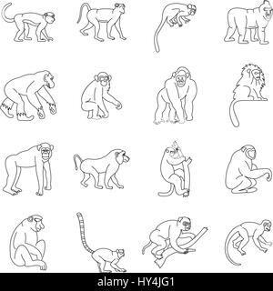 Monkey types icons set, outline style Stock Vector