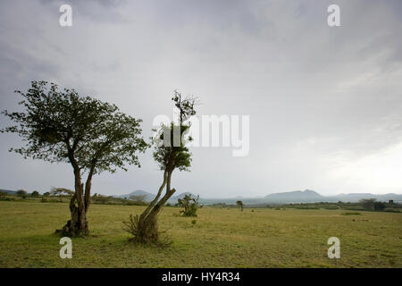 Kenya landscape near Lake Elementeita, Kenya, Africa Stock Photo