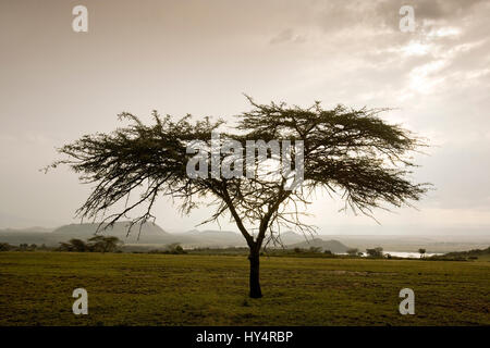 Kenya landscape near Lake Elementeita, Kenya, Africa Stock Photo