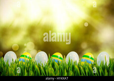 Grass growing outdoors against field with glowing sky Stock Photo