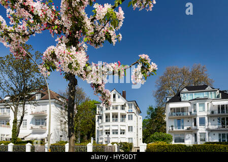 Alster villas in the nice view in Uhlenhorst, Hamburg, Germany, Europe, Alstervillen an der Schoenen Aussicht in Uhlenhorst, Deutschland, Europa Stock Photo