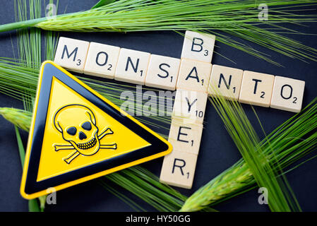 Stroke of Bavarian and Monsanto with grain ears and danger signs, takeover offer of Bavarian, Schriftzuege von Bayer und Monsanto mit Kornaehren und G Stock Photo