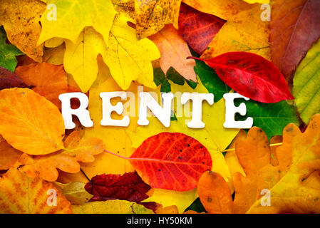 Stroke pension on autumn sheets, Schriftzug Rente auf Herbstblaettern