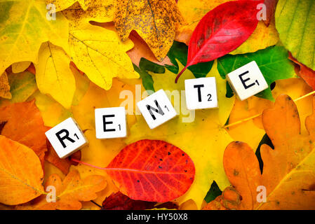 Letter cubes form the stroke pension on autumn foliage, Buchstabenwuerfel bilden den Schriftzug Rente auf Herbstlaub