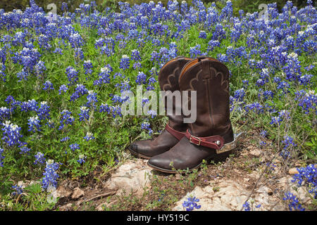 A brown leather pair of cowboy boots with spurs sits on rock in a field of Texas bluebonnets Stock Photo