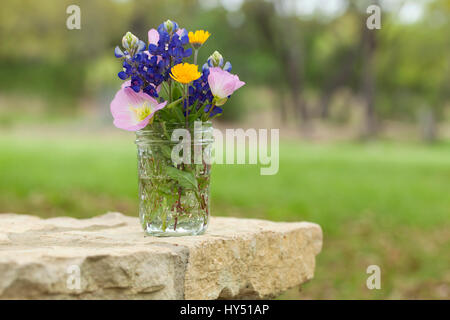 A bouquet of Texas wildflowers from the Texas Hill Country in a mason jar on a stone wall. Evening primroses, bluebonnets and yellow daisies. Stock Photo