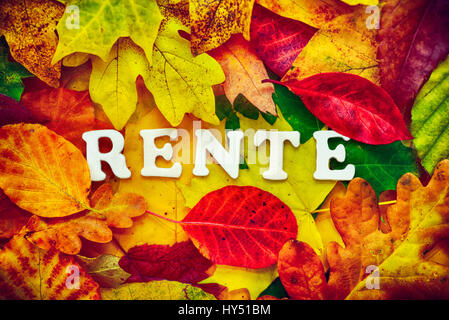 Stroke pension on autumn sheets, Schriftzug Rente auf Herbstblaettern