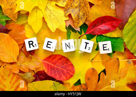 Letter cubes form the stroke pension on autumn foliage, Buchstabenwuerfel bilden den Schriftzug Rente auf Herbstlaub