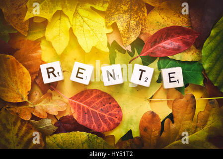Letter cubes form the stroke pension on autumn foliage, Buchstabenwuerfel bilden den Schriftzug Rente auf Herbstlaub