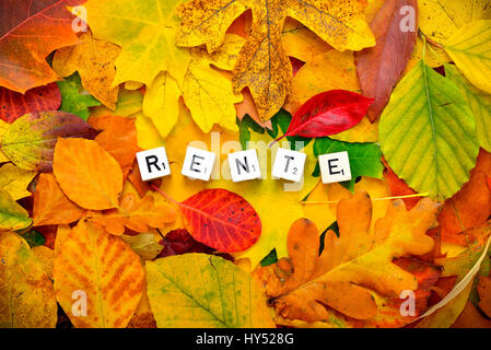 Letter cubes form the stroke pension on autumn foliage, Buchstabenwuerfel bilden den Schriftzug Rente auf Herbstlaub