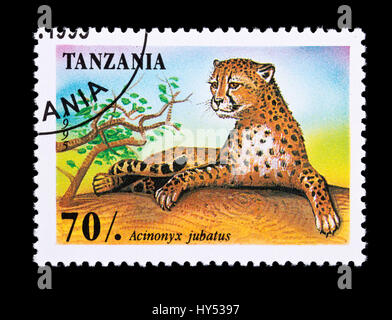 Postage stamp from Tanzania depicting a cheetah (Acinonyx jubatus) Stock Photo