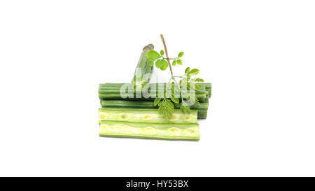 Moringa oleifera over white background Stock Photo